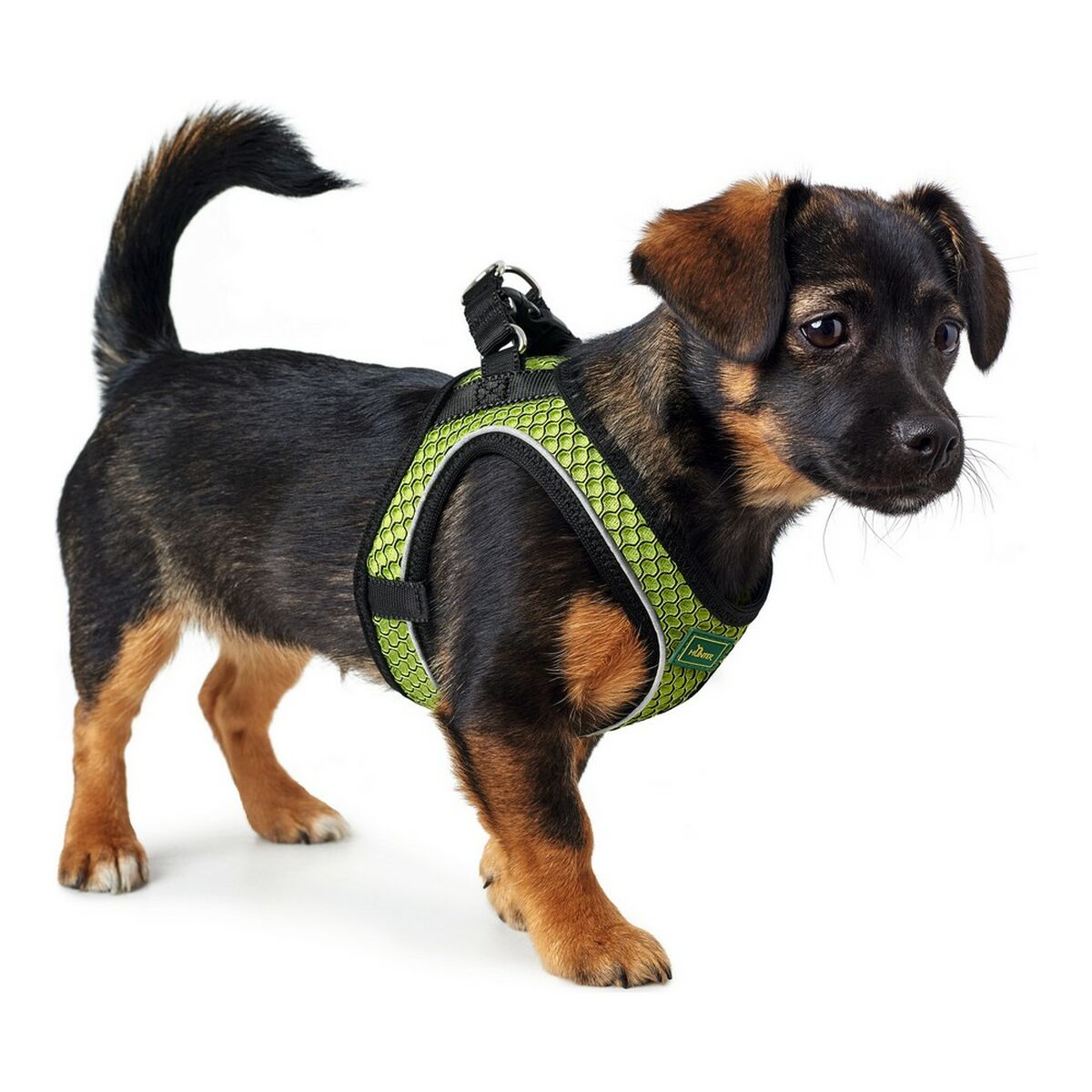 Hundesele Hunter Hilo-Comfort Lime S/M (48-55 cm)